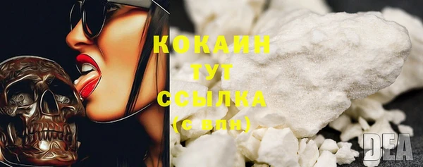 сатива Верея