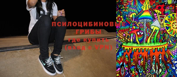 сатива Верея