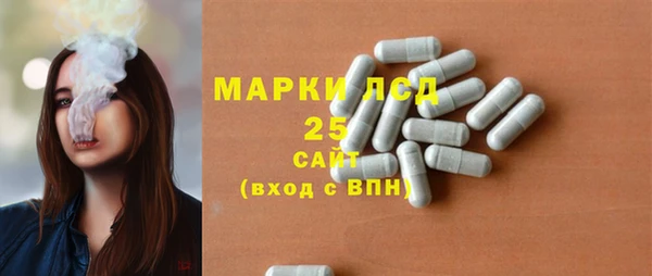 сатива Верея